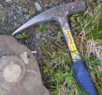 Geological Fossil Collecting Hammer - Wooden Handle, Steel Head, 100g/200g/300g Options