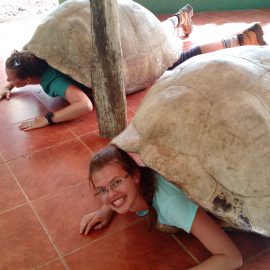 Galapagos Islands and Ecuador Andes Mountains, July 2023 – TRIP FULL