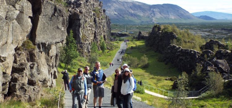 So you want to run a field trip? 20 tips and tricks!