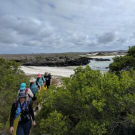 Galapagos Islands Adventure & Explore the Andes (add-on), June-July 2024