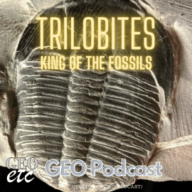 Trilobites – King of the fossils