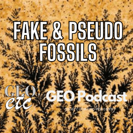 Fake and Pseudo Fossils