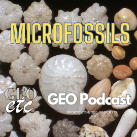 Microfossils