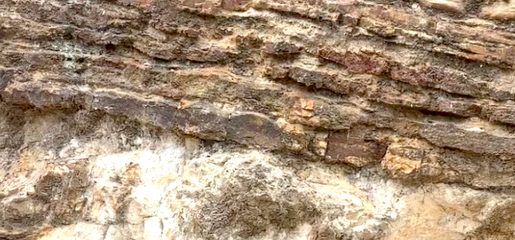 The Rocks of State Circle – Date & Time