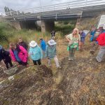 Fossils of Woolshed Creek - Date & Time