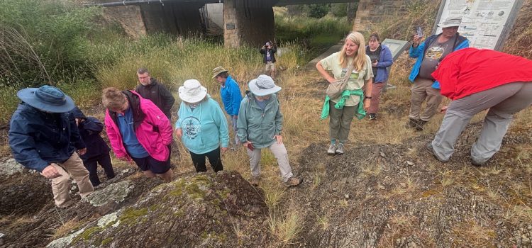 Fossils of Woolshed Creek – Date & Time