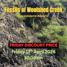 Fossils of Woolshed Creek – 17 April 10.00am