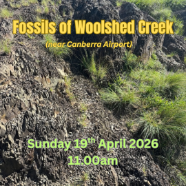 Fossils of Woolshed Creek – 19 April 11.00am