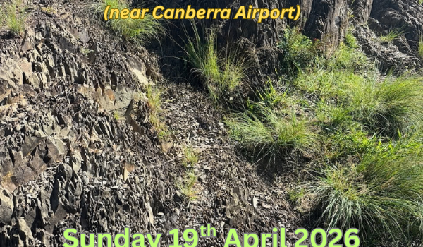 Fossils of Woolshed Creek – 19 April 11.00am