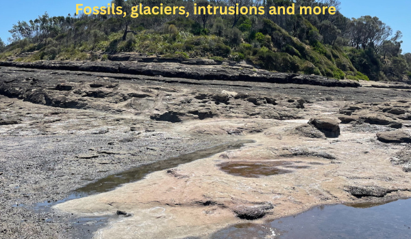 Geology of Wasp Head, South Durras – Saturday 19 September 10.00am