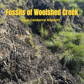 Fossils of Woolshed Creek – Friday 11 September 11.00am